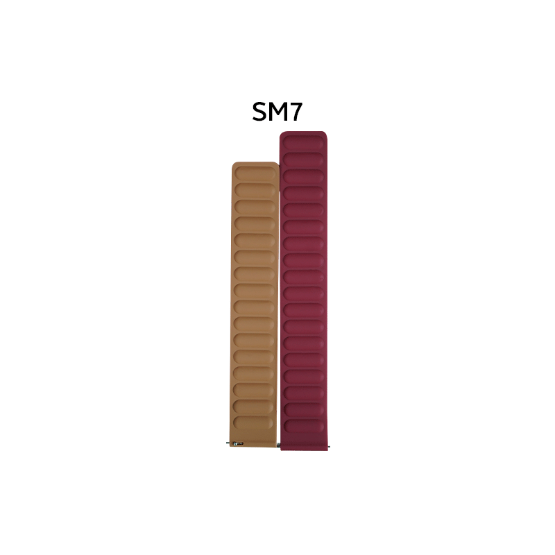 22mm Silicone Magnetic Strap For Smartwatch