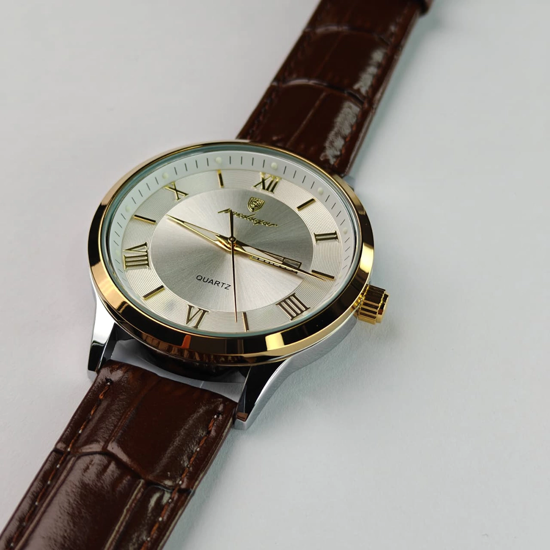POEDAGAR 978L Luxury Men’s Watch